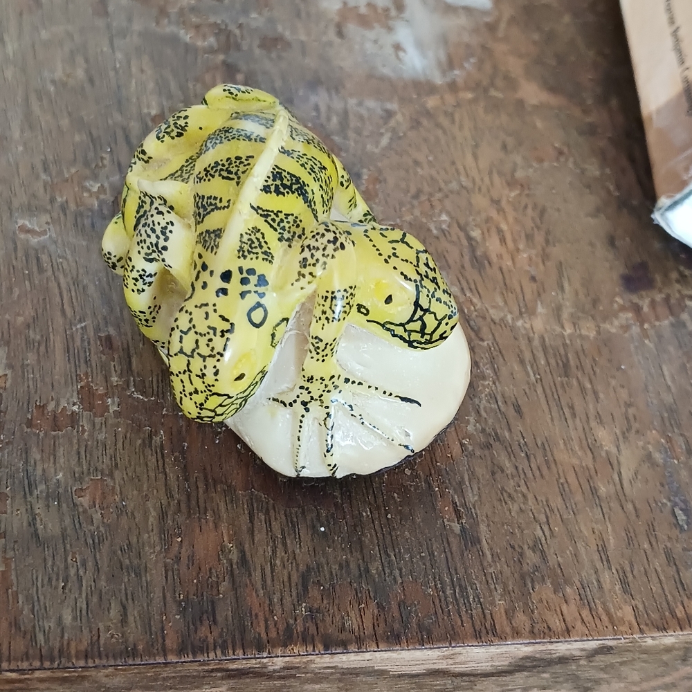 Lizard/gecko vegetable ivory, tagua from Panama